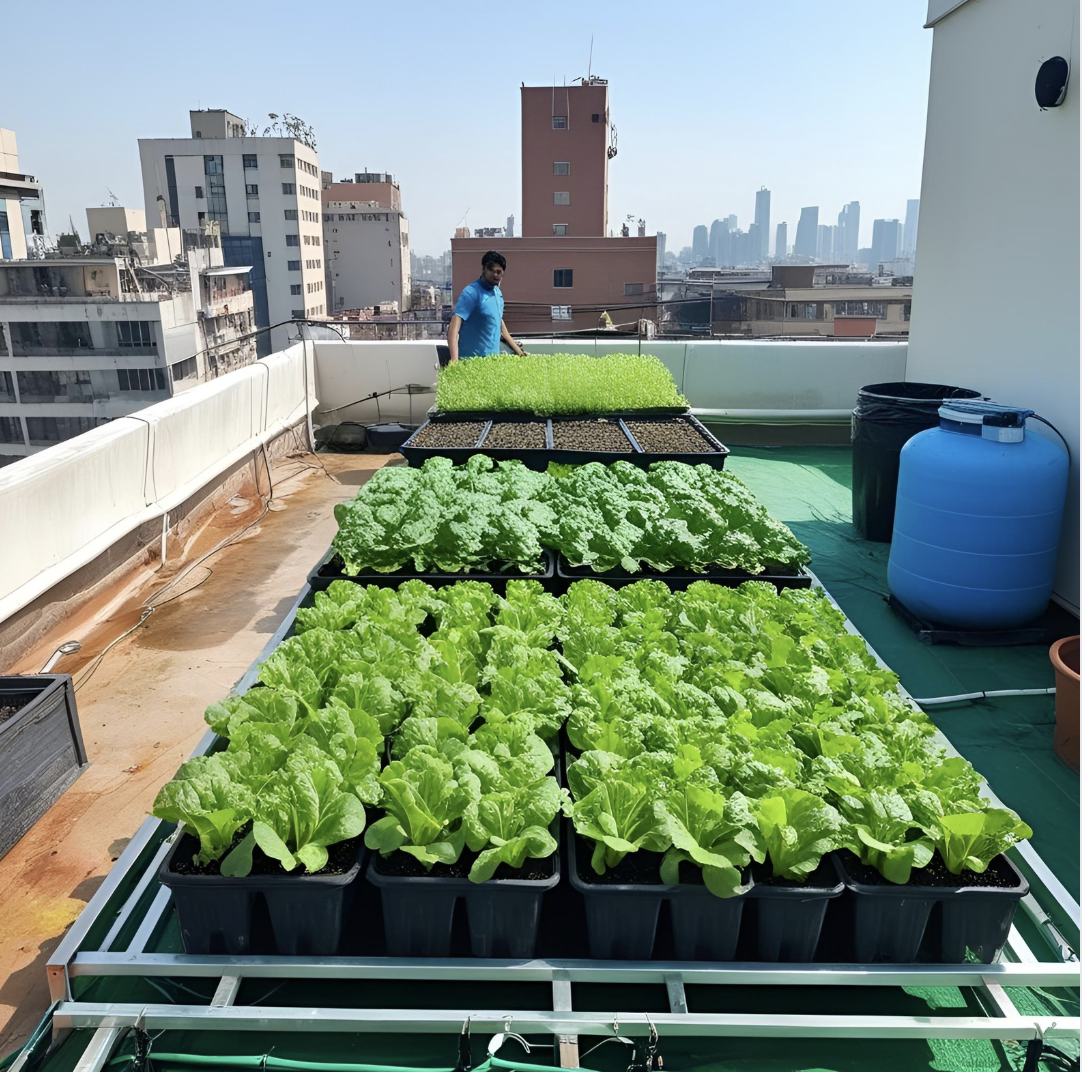 Urban Farmer
